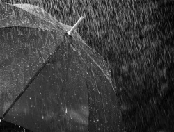 Prakiraan Cuaca BMKG 28 Juni 2025 Waspada Hujan hingga Malam Hari  Warga Kota Palangka Raya