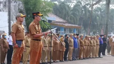 26 ASN Baru Dilantik, Nasib 293 Tenaga Kontrak di Palangka Raya Masih Jadi Sorotan